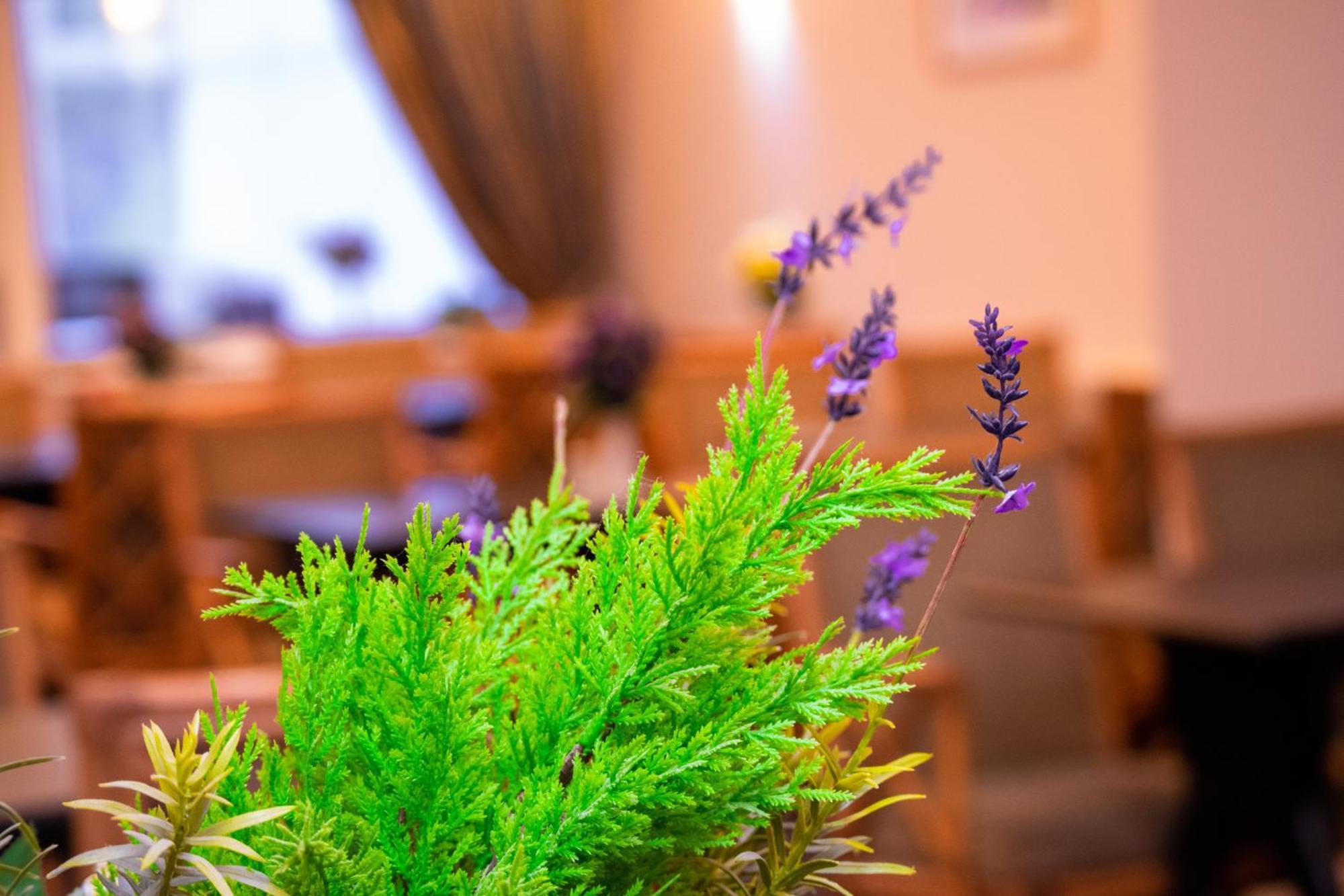 Royal Square Hotel - Nec & Birmingham Airport Marston Green Zewnętrze zdjęcie